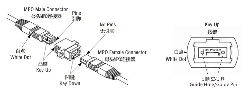 What’s MPO patch cord？